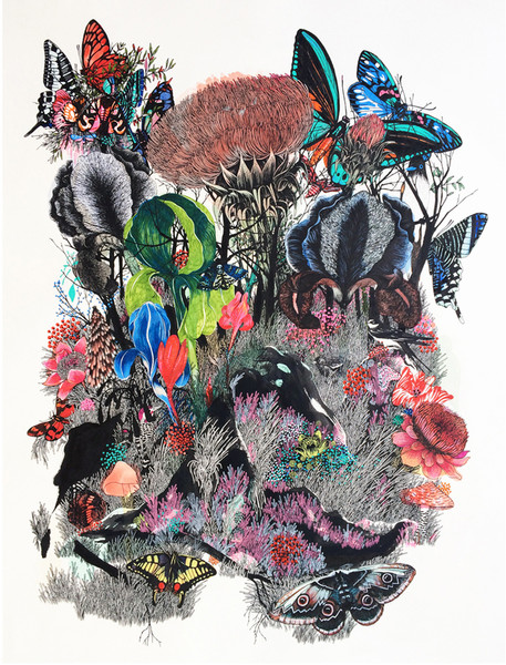 Photo Stéphane Kiehl