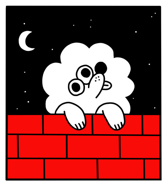 Photo Groduk & Boucar