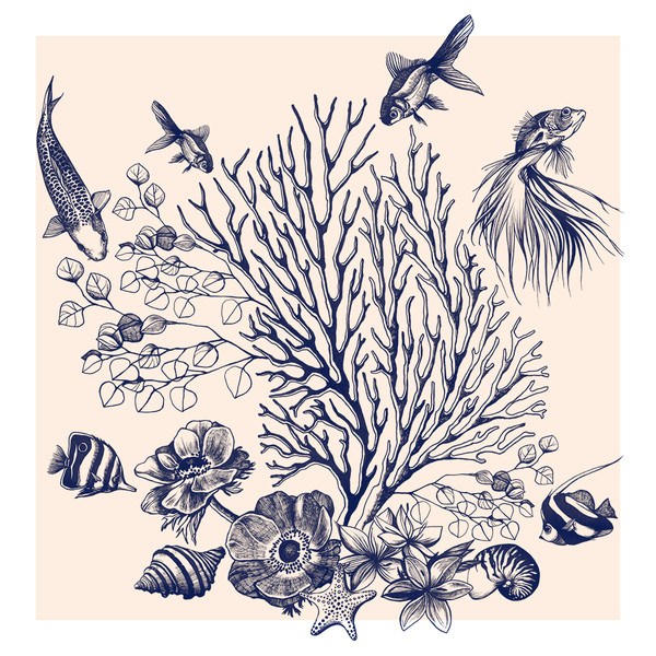 Photo Clémence Thienpont