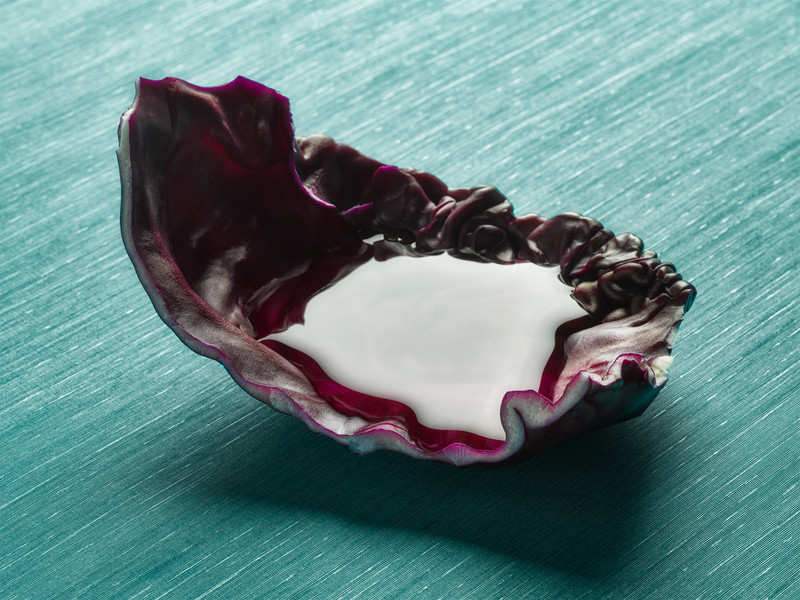 Photo Vittorio Bergamaschi