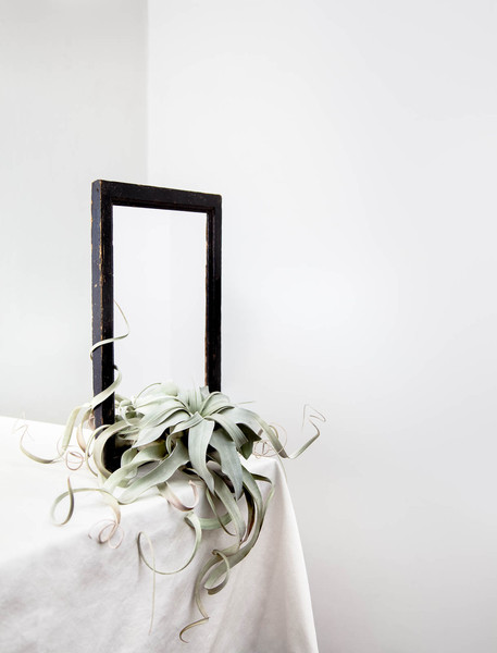 Photo Jérôme Galland