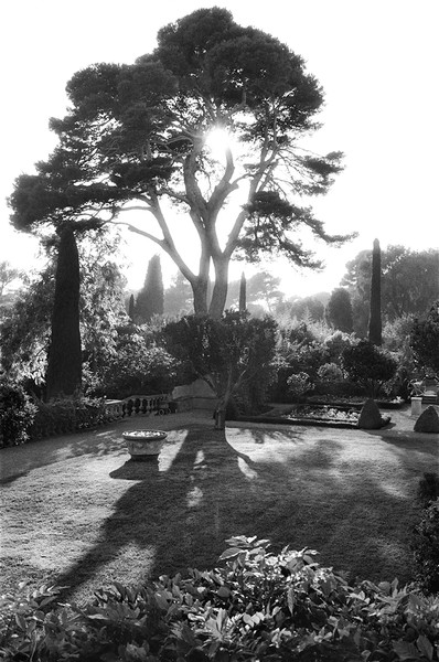 Photo Alain Longeaud