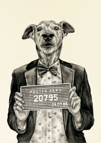 Photo Lauren Mortimer