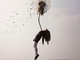 Photo Maia FLORE
