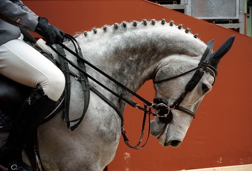 Photo Claudine DOURY