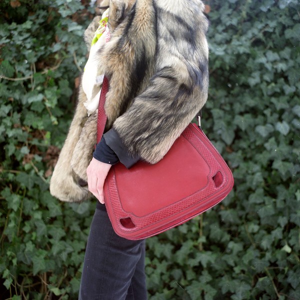 Photo Denis DAILLEUX