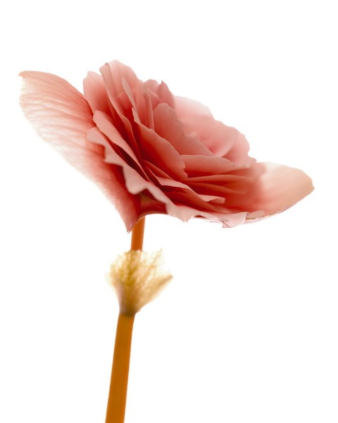 Photo Florence Verrier