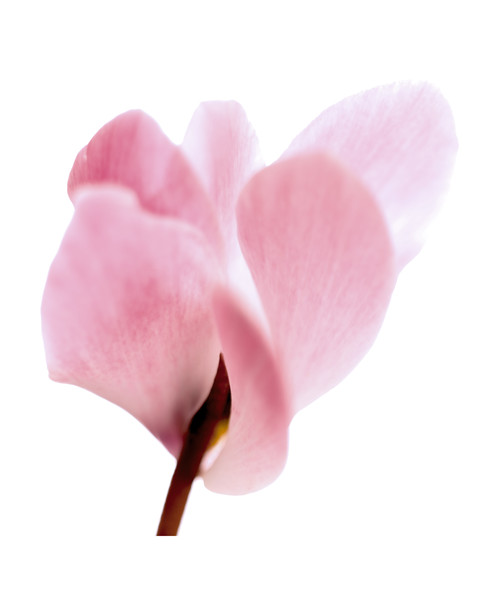 Photo Florence Verrier