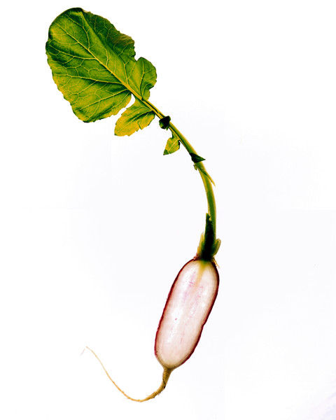 Photo Florence Verrier