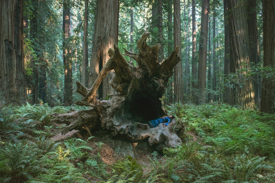 Photo Gabriel de La Chapelle