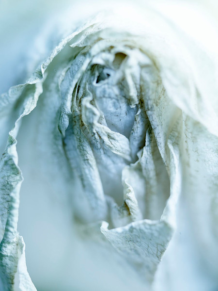 Photo Jean-Claude Amiel