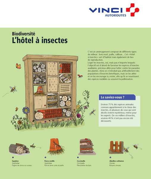 Photo Clémence Monot