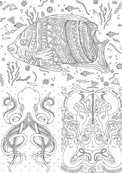 Photo Studio Bertone