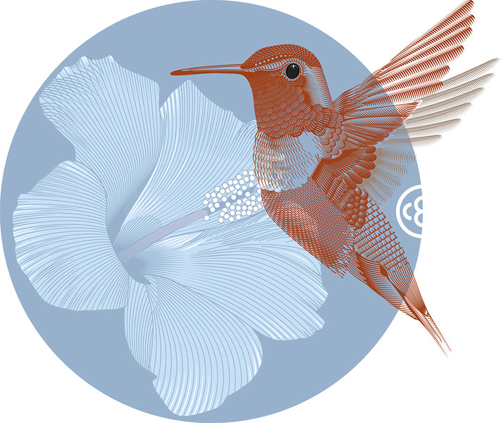 Photo Christopher Evans