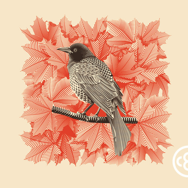 Photo Christopher Evans