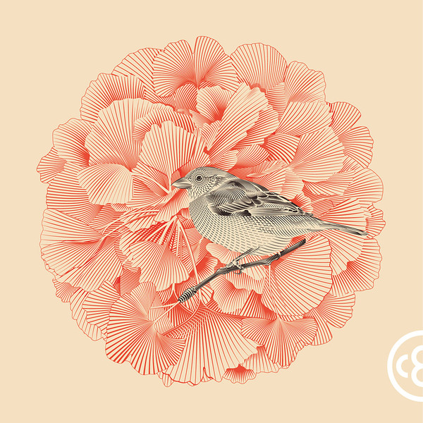 Photo Christopher Evans