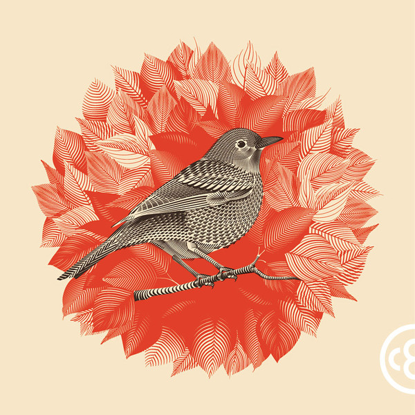 Photo Christopher Evans