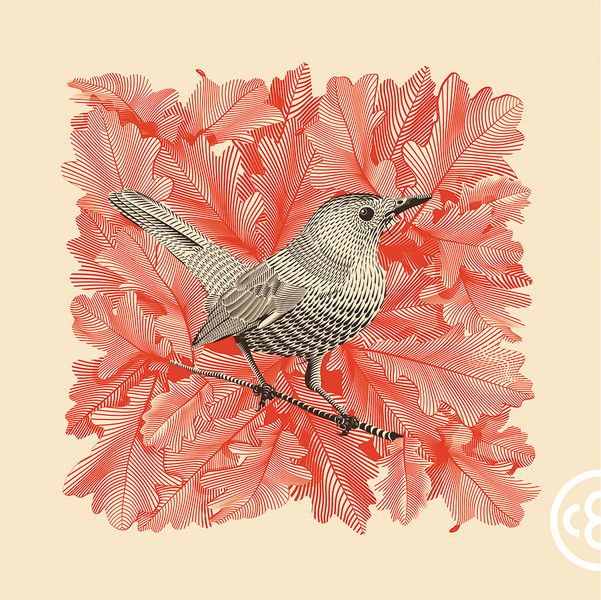 Photo Christopher Evans