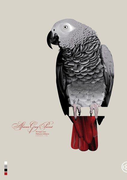 Photo Christopher Evans