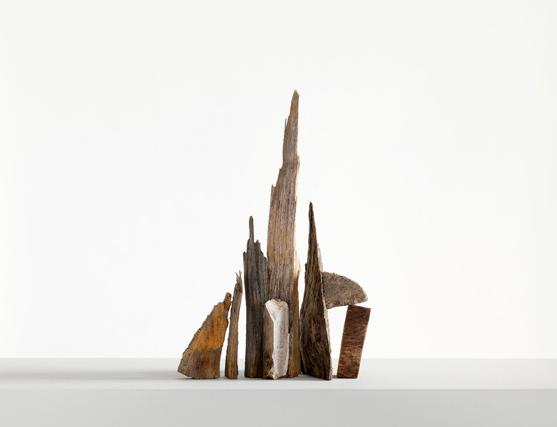 Photo Stefano Bianchi