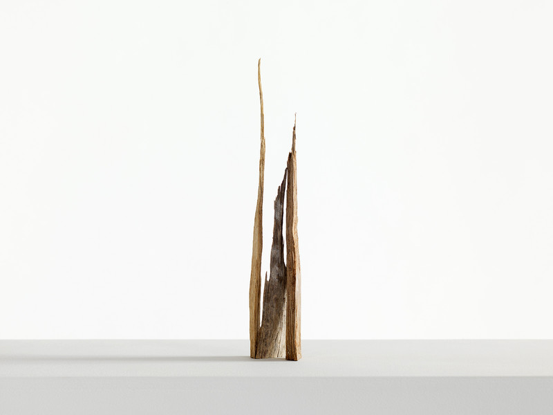 Photo Stefano Bianchi