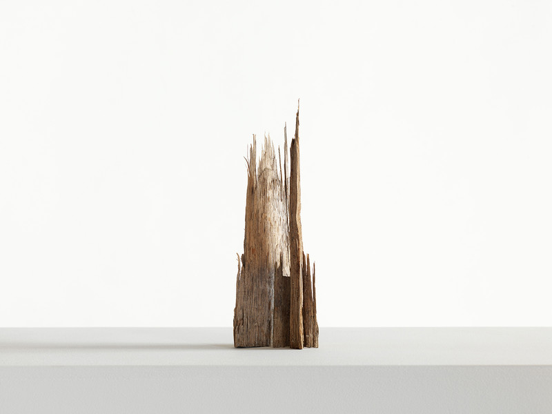 Photo Stefano Bianchi