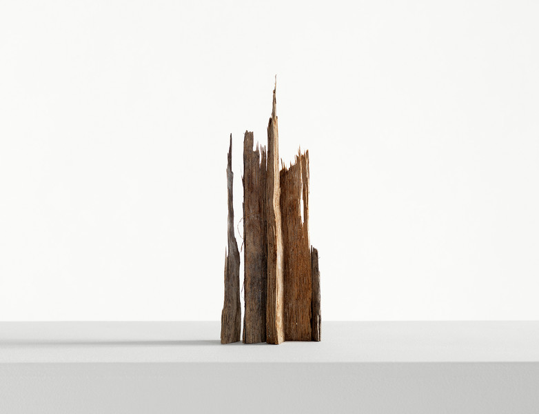 Photo Stefano Bianchi