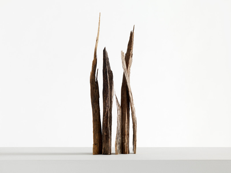 Photo Stefano Bianchi