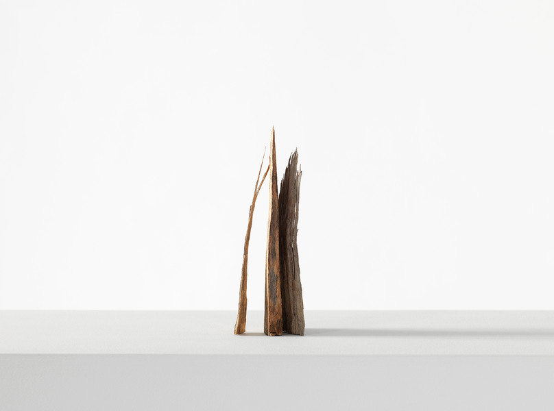 Photo Stefano Bianchi