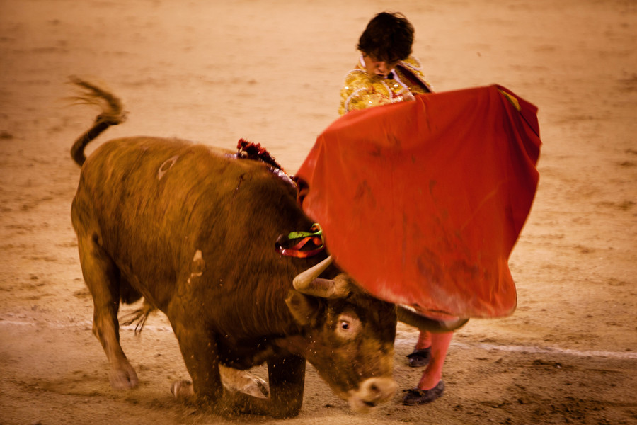 Photo JILLIAN EDELSTEIN