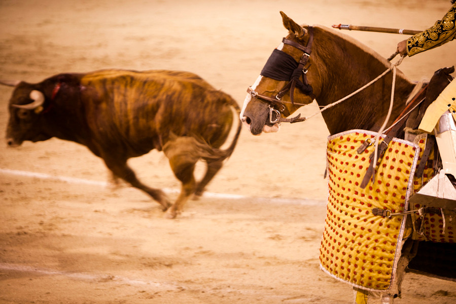 Photo JILLIAN EDELSTEIN