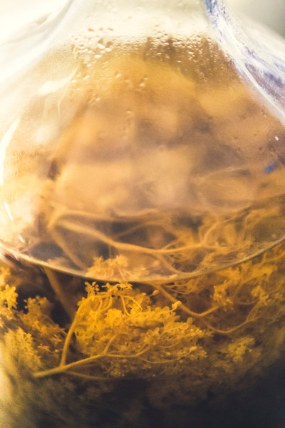 Photo GUILLAUME CZERW