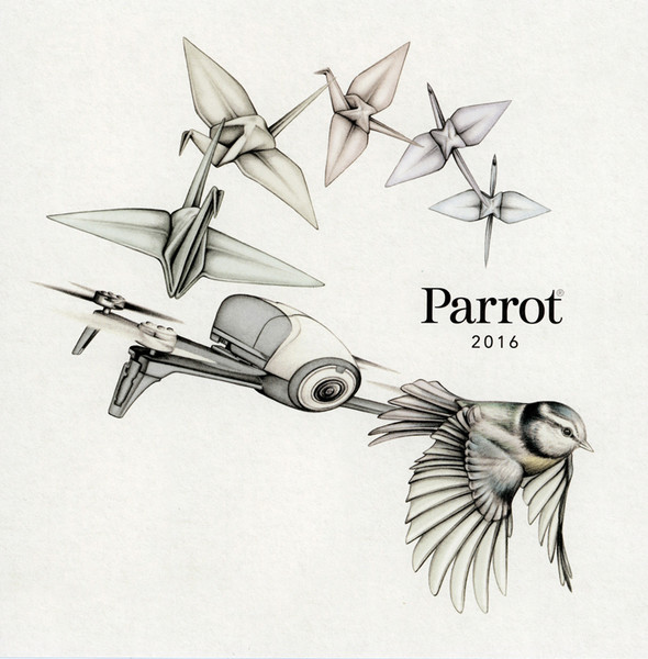 Photo Lauren Mortimer