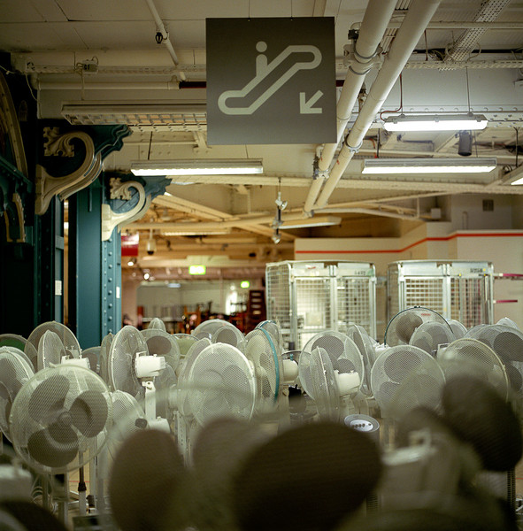 Photo SOPHIE BRANDSTROM