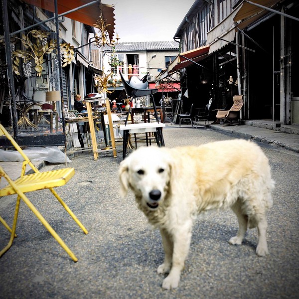 Photo SOPHIE BRANDSTROM