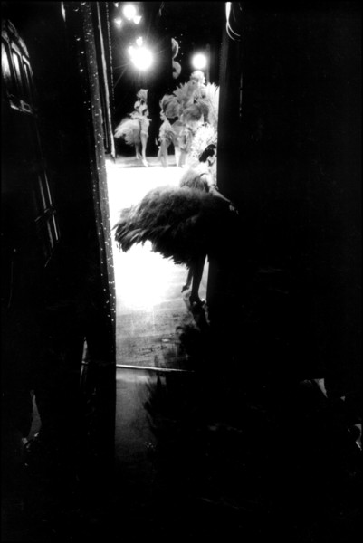 Photo SOPHIE BRANDSTROM