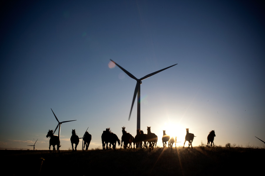 Photo SOPHIE BRANDSTROM