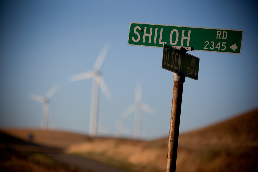 Photo SOPHIE BRANDSTROM