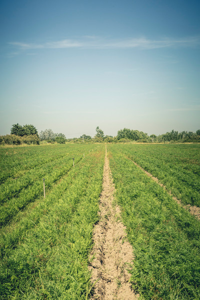 Photo GUILLAUME CZERW