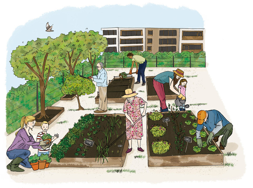 Photo Clémence Monot