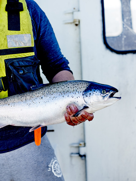 Photo Jean-Claude Amiel