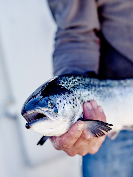 Photo Jean-Claude Amiel