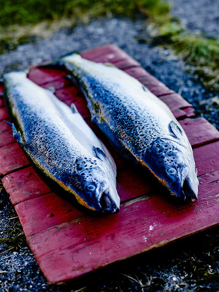 Photo Jean-Claude Amiel