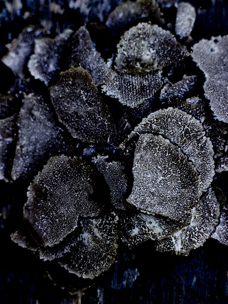 Photo Jean-Claude Amiel