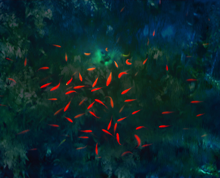 Photo Alain Longeaud