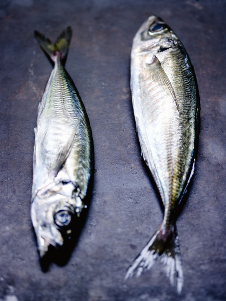 Photo Jean-Claude Amiel