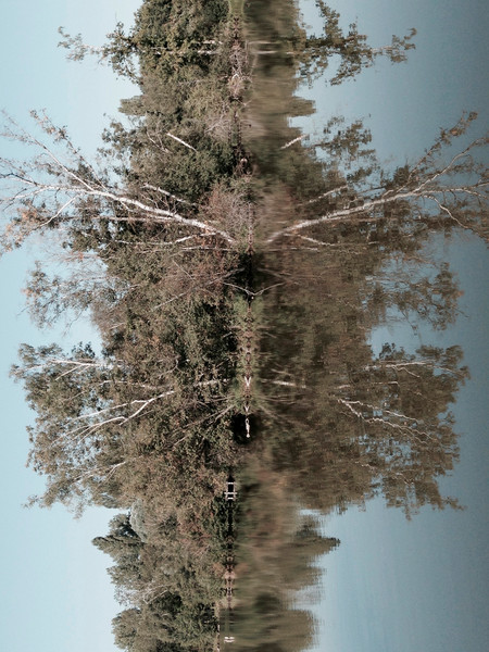 Photo ELEONORA BRAVI