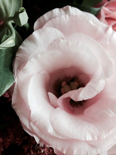 Photo ELEONORA BRAVI