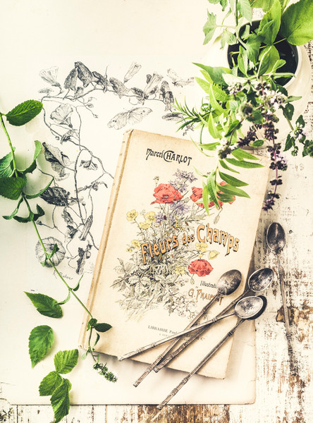 Photo GUILLAUME CZERW