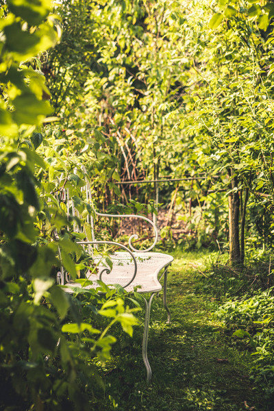 Photo GUILLAUME CZERW